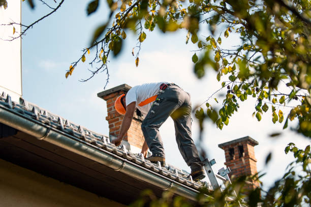 Roof Coating Services in Milbank, SD