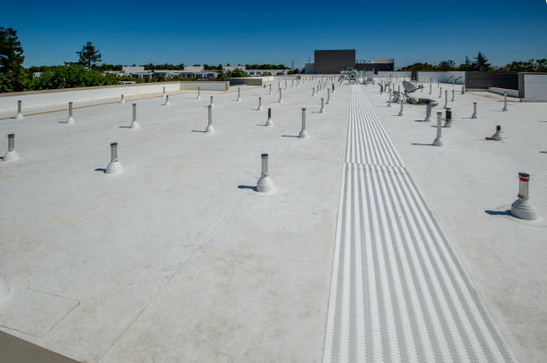 Best Gutter Installation and Repair  in Milbank, SD
